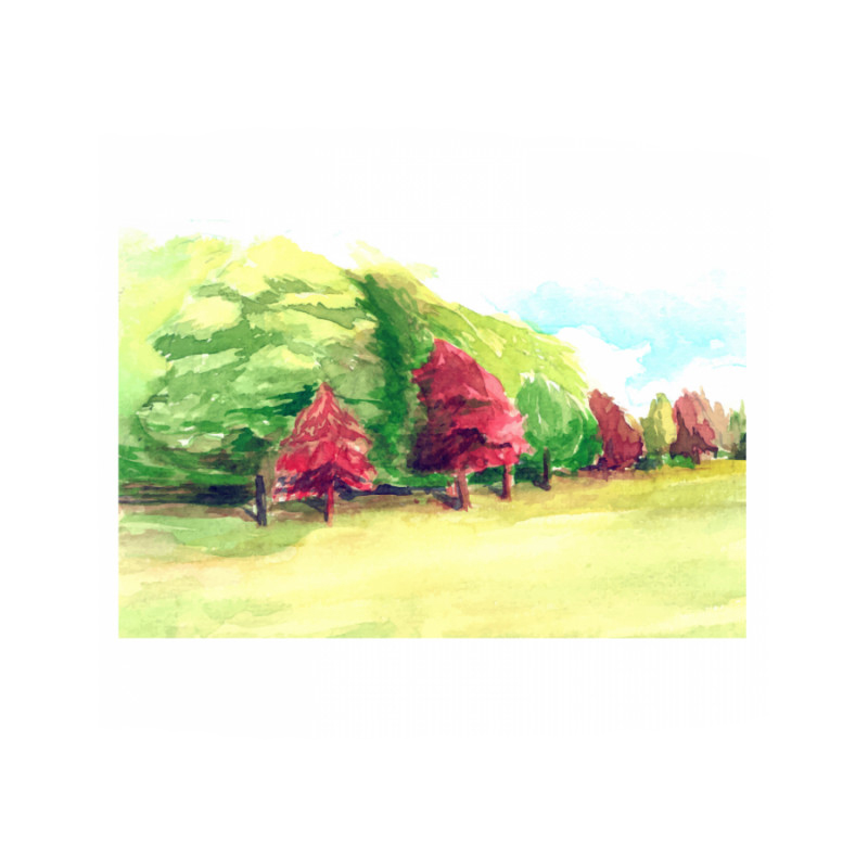 Πίνακας σε καμβά με Ζωγραφική με δάσος νερομπογιά